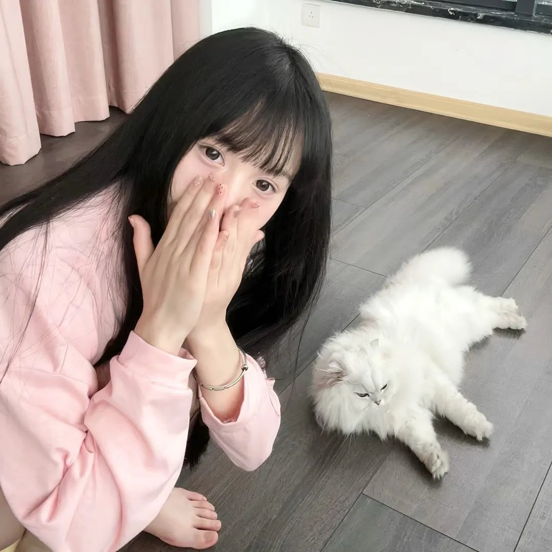 冷宫女刺客